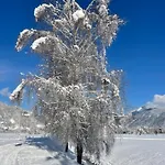 Edelweiss