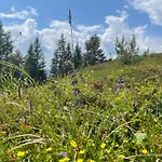 Edelweiss