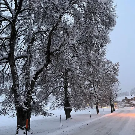 Edelweiss Saalfelden