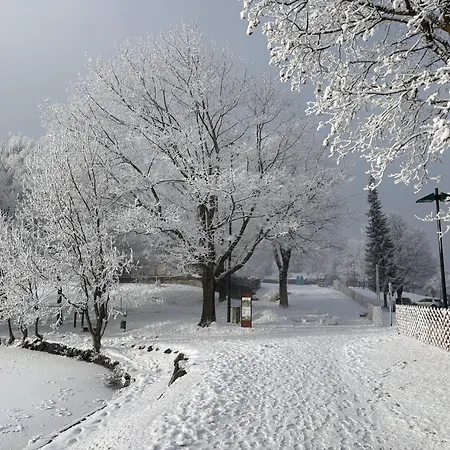 Edelweiss Saalfelden
