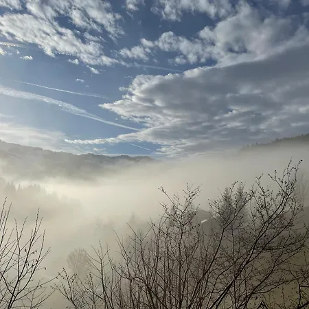 Bed & Breakfast Edelweiss 3*