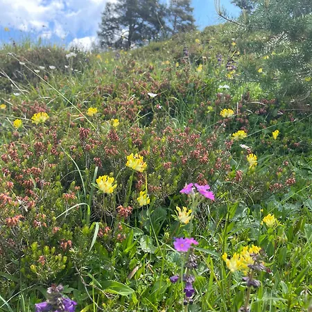 Bed & Breakfast Edelweiss Saalfelden