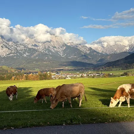 Bed & Breakfast Edelweiss 3*