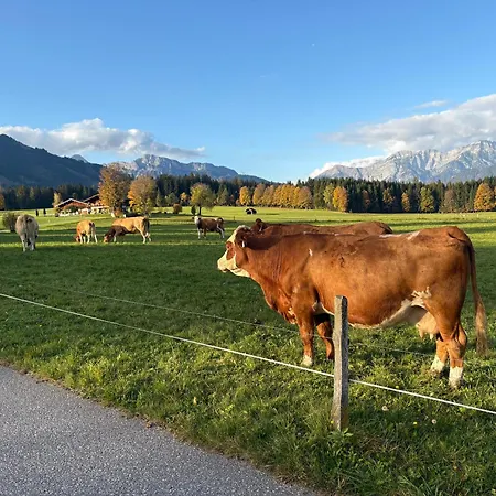 Bed & Breakfast Edelweiss Saalfelden