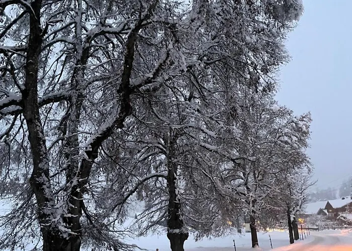 Edelweiß Saalfelden
