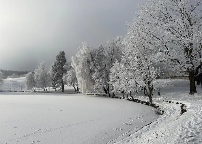 Edelweiss فندق مبيت وإفطار 3*