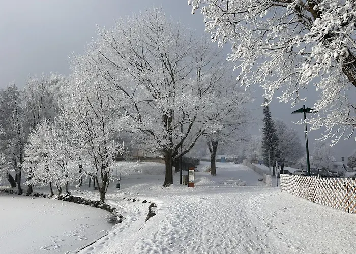 Edelweiß Saalfelden