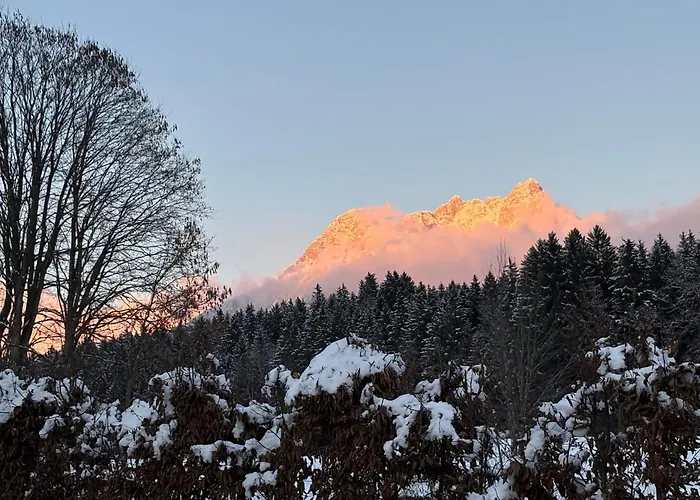 Frühstückspension Edelweiß 3*