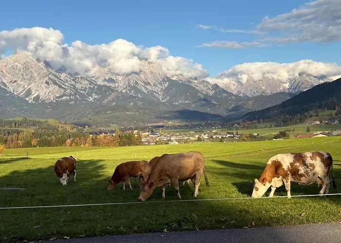 Frühstückspension Edelweiß 3*