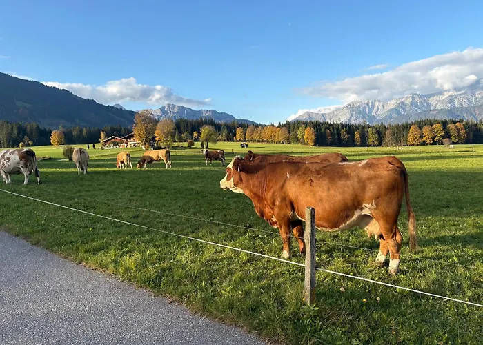 Frühstückspension Edelweiß Saalfelden
